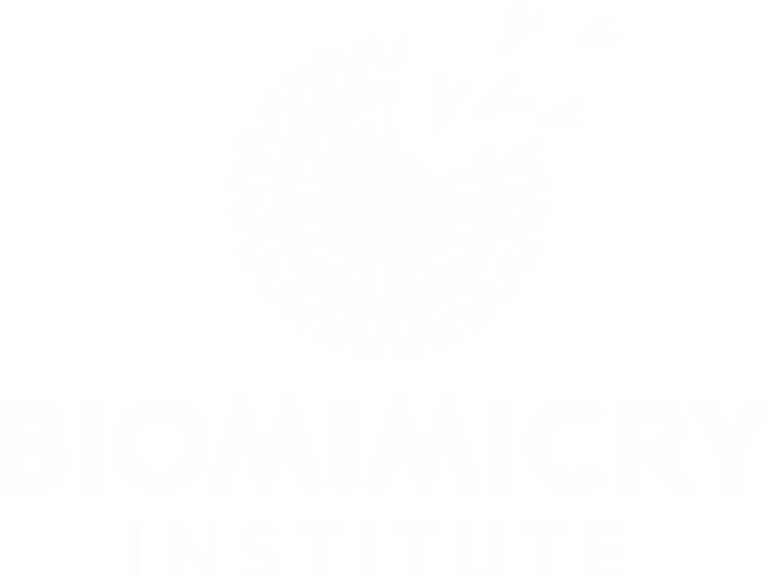 Biomimikry-Logo