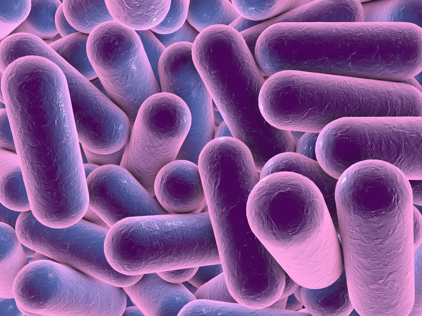 membranes-avoid-freezing-biological-strategy-asknature