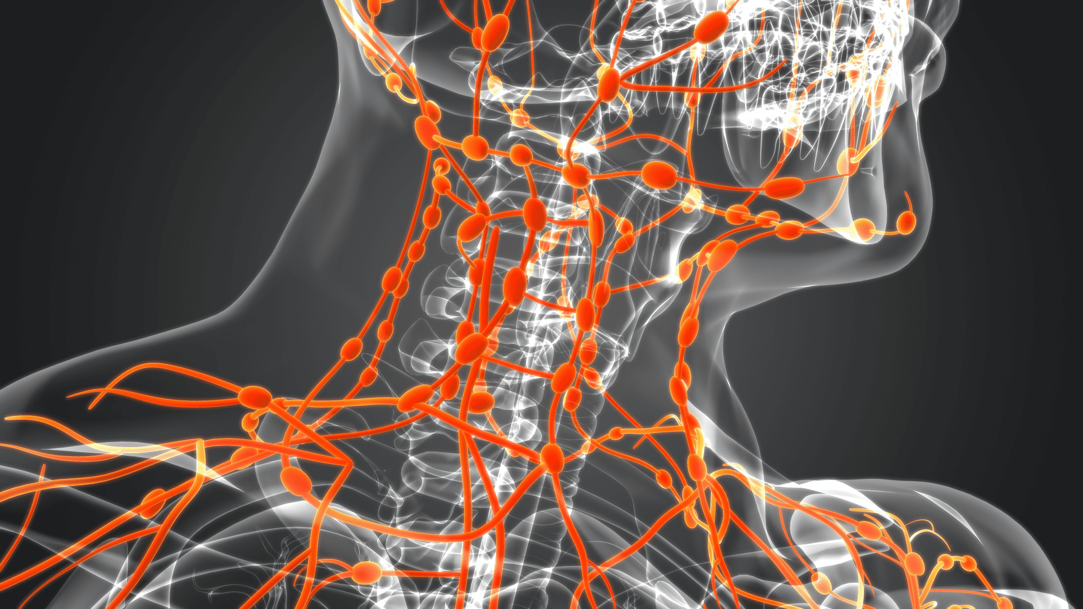 Тканевая жидкость. Лимфа и ее функции. Colloid System.