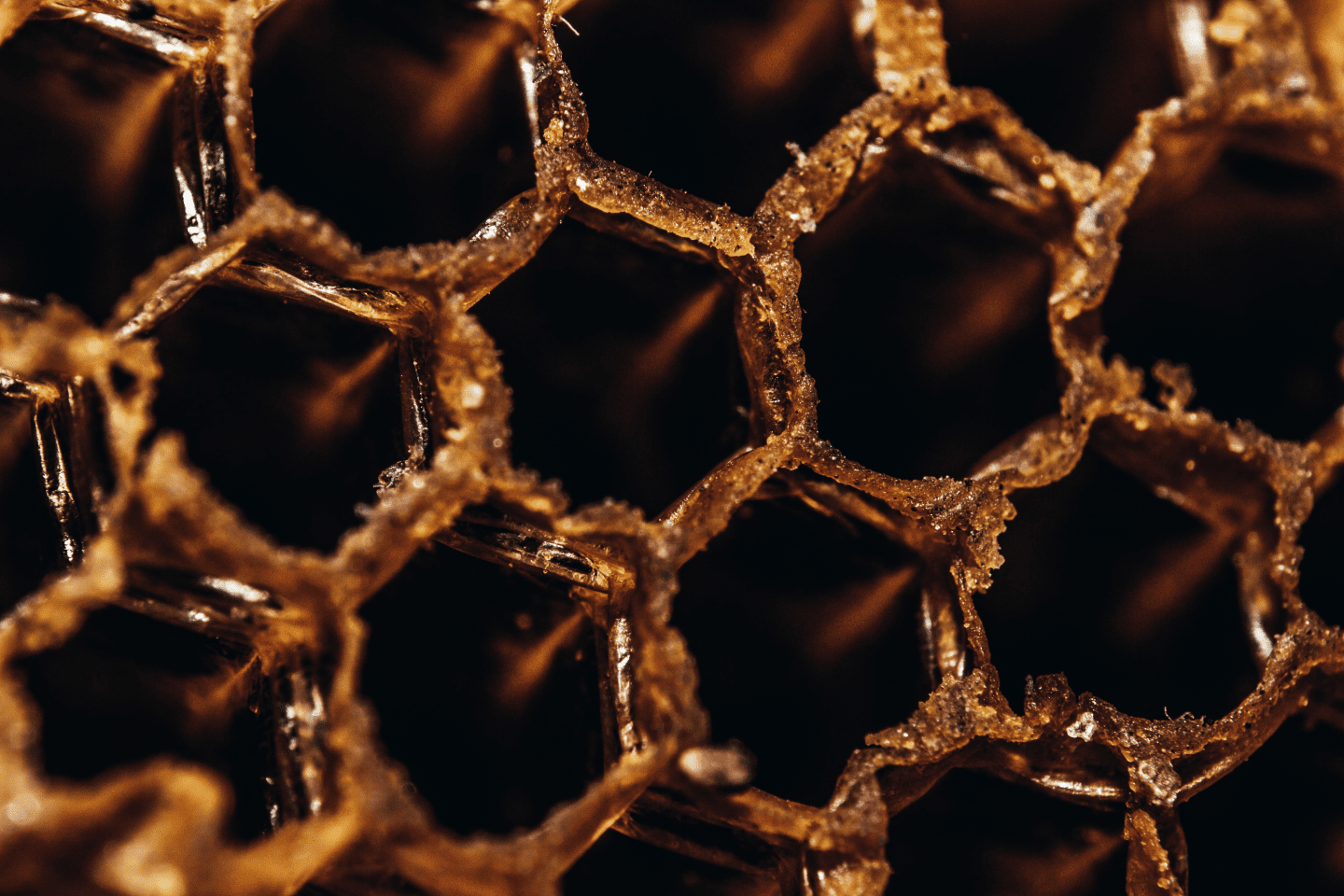 Honeycomb Structure Is Space-Efficient and Strong — Biological Strategy