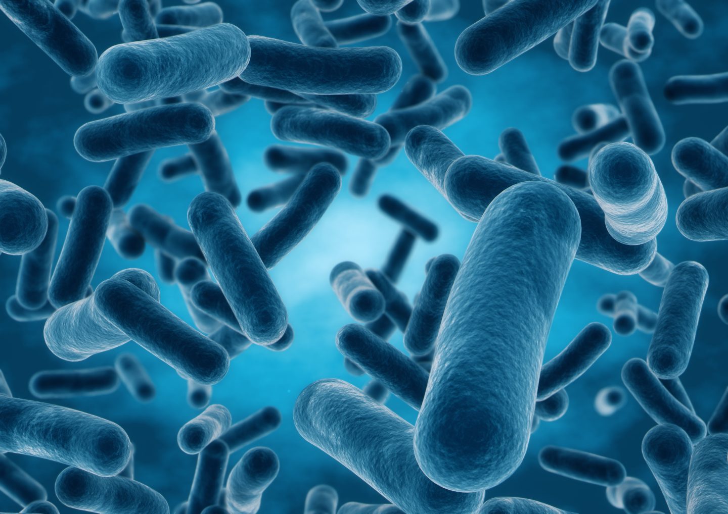 Anaerobic Bacteria’s Breathless Variety of Chemical Processes ...